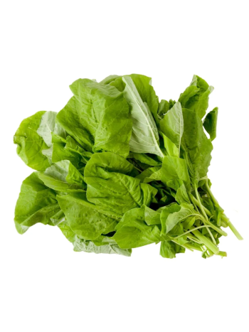 Fresh Amaranthus Leaves (Chaulai) – 500 g
