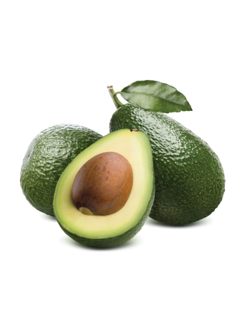 Avocado (Persea americana) – 1 kg