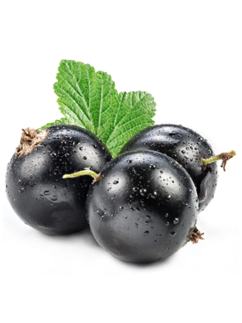 Frozen Blackcurrant (1 Kg)