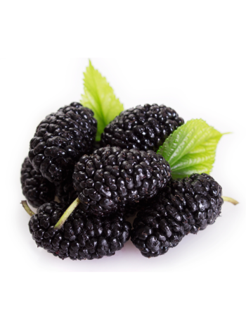 Mulberry (Shahtoot / Tuti) – 1 kg