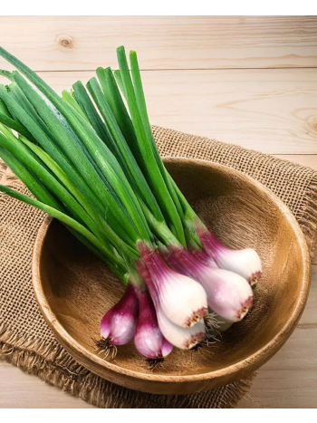 Fresh Spring Onions – 1 Bunch (Approx. 225–300 g)