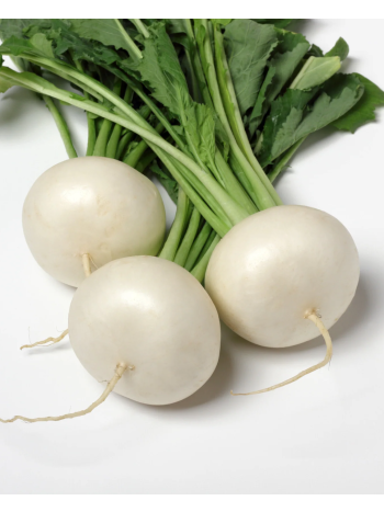 Turnip Snowball Seeds (Shaljam / Rappa Palla Di Neve)